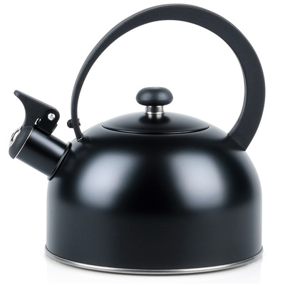 Whistling Kettle Steel Black 2 l