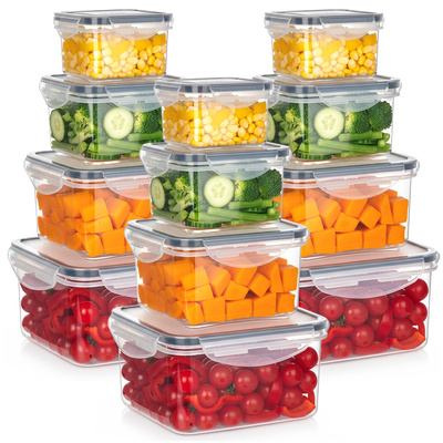 Food Containers with Lid and Gasket 12 pcs