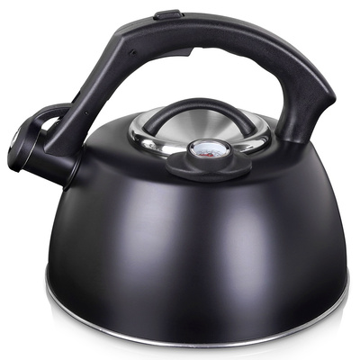 Whistling Kettle Steel Black with Thermometer 3 l