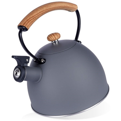 Whistling Kettle Steel Gray 2.5 l