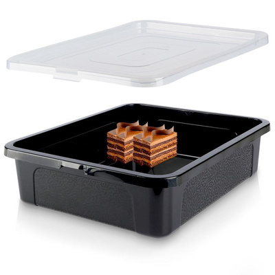 Cake Container with Lid 40x33x10 cm