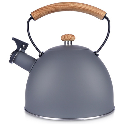 Whistling Kettle Steel Gray 2.5 l