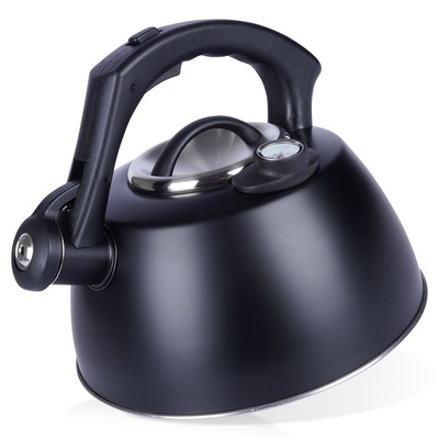 Whistling Kettle Steel Black with Thermometer 3 l