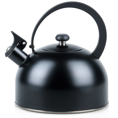 Whistling Kettle Steel Black 3 l